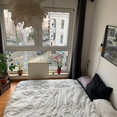 Ferienwohnung Am Clara-Zetkin-Park, Netflix, lichtdurchflutet Leipzig Exterior foto